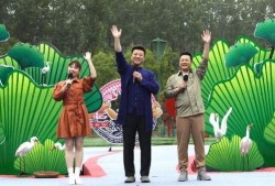 东方树叶最新爆料视频下载,神秘视频揭秘茶叶新境界