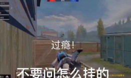 和平精英最新新品爆料图片,全新视觉体验，带你领略战场新风貌