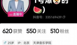 最新爆料郭夏视频大全集,揭秘娱乐圈背后的风云变幻