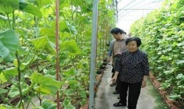 保山吃瓜最新事件爆料是真的吗,最新爆料真相揭秘