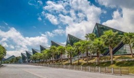 阜阳最新爆料深圳,揭秘深圳发展背后的故事”