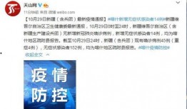 新疆最新消息爆料,揭秘神秘事件背后的真相