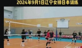 辽宁女排爆料了吗最新消息,揭秘爆料背后的真相与进展
