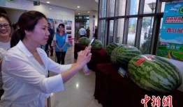 澧县吃瓜最新事件爆料新闻,揭秘当地最新热点舆情动态