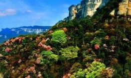 大渝网爆料台最新金佛山,揭秘大自然的奇迹与传说”