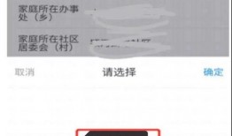 珠海每日爆料最新消息查询,揭秘城市热点事件背后的真相